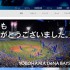 いち阪神ファンから見た2015年の横浜DeNAベイスターズ