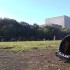 オスンファンの代役候補は「5人」阪神の新外国人投手候補の成績をみてみよう